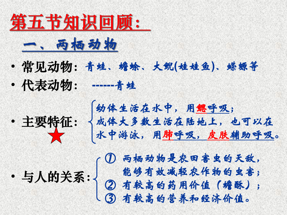 人教版生物八年级上册516《鸟》课件2.ppt_第2页