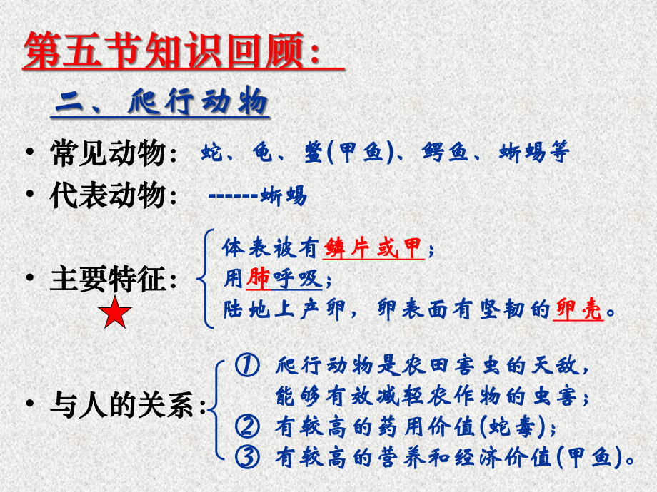 人教版生物八年级上册516《鸟》课件2.ppt_第3页