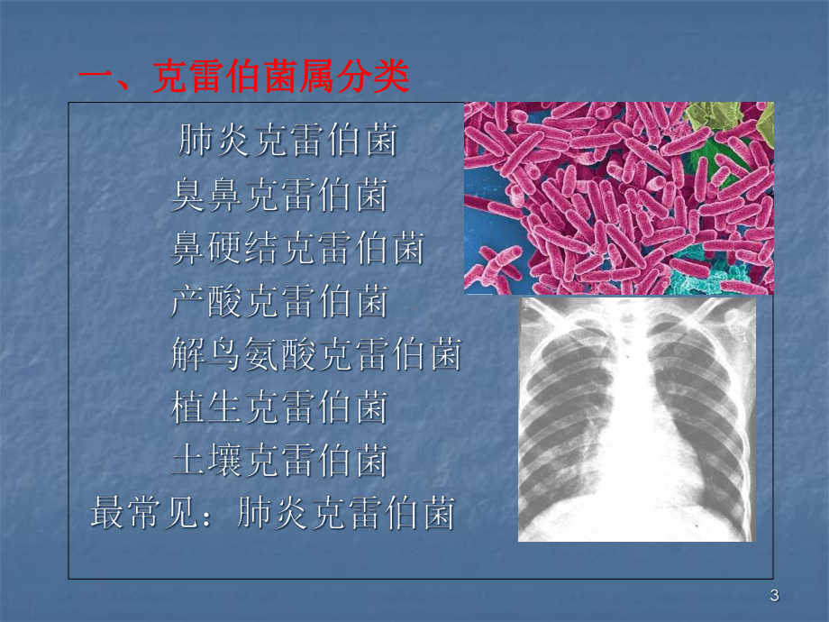 克雷伯菌属课件-002.ppt_第3页