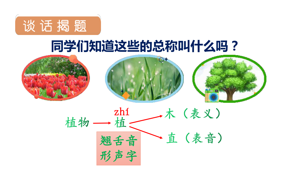 植物妈妈有办法语文二年级上册优秀课件.pptx_第3页