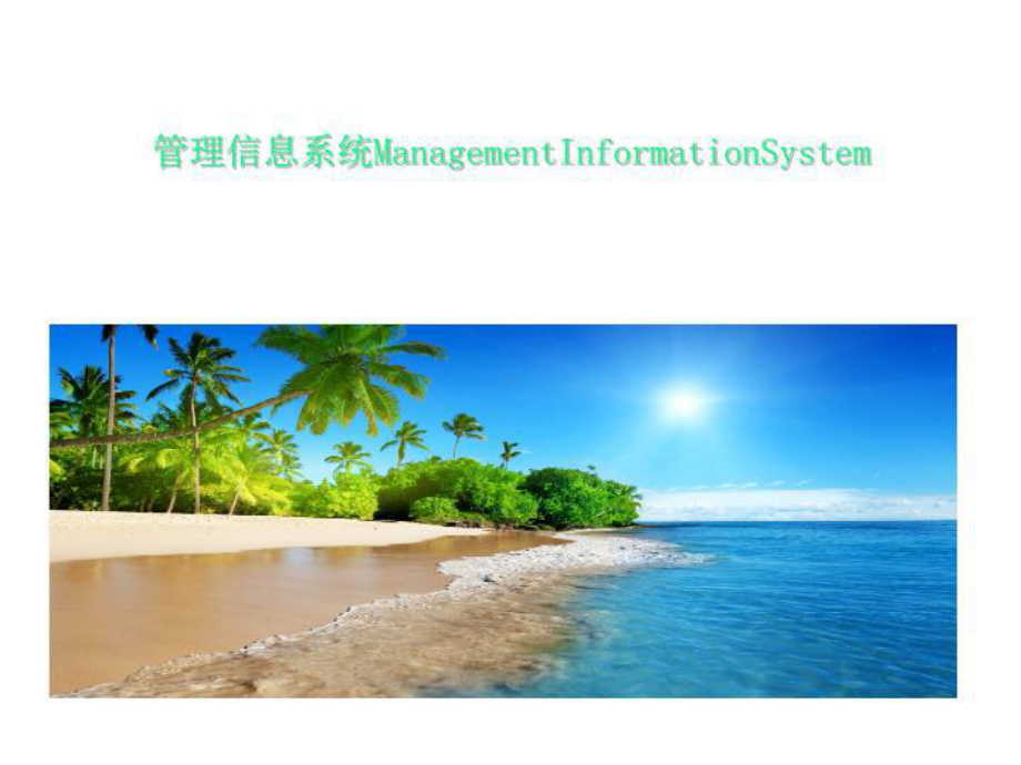 管理信息系统ManagementInformationSystem课件.ppt_第1页