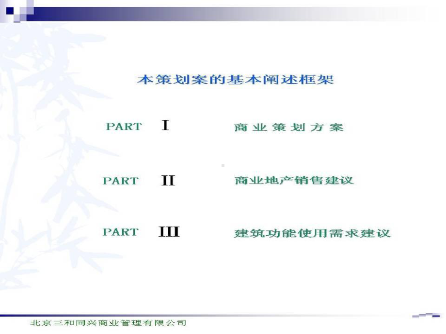 滨洲XX商业策划全案课件.pptx_第2页