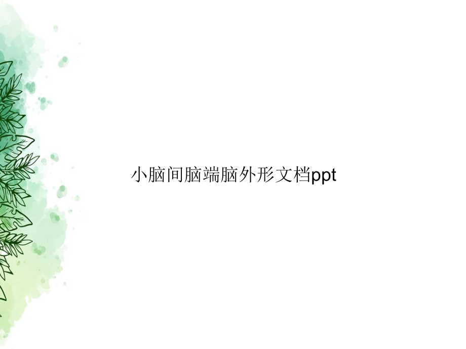 小脑间脑端脑外形讲课课件.ppt_第1页