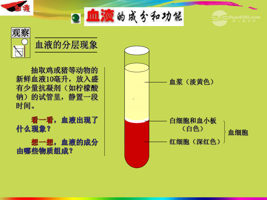 甘肃省会宁县八年级生物《第10章》课件-新人教版.ppt_第3页