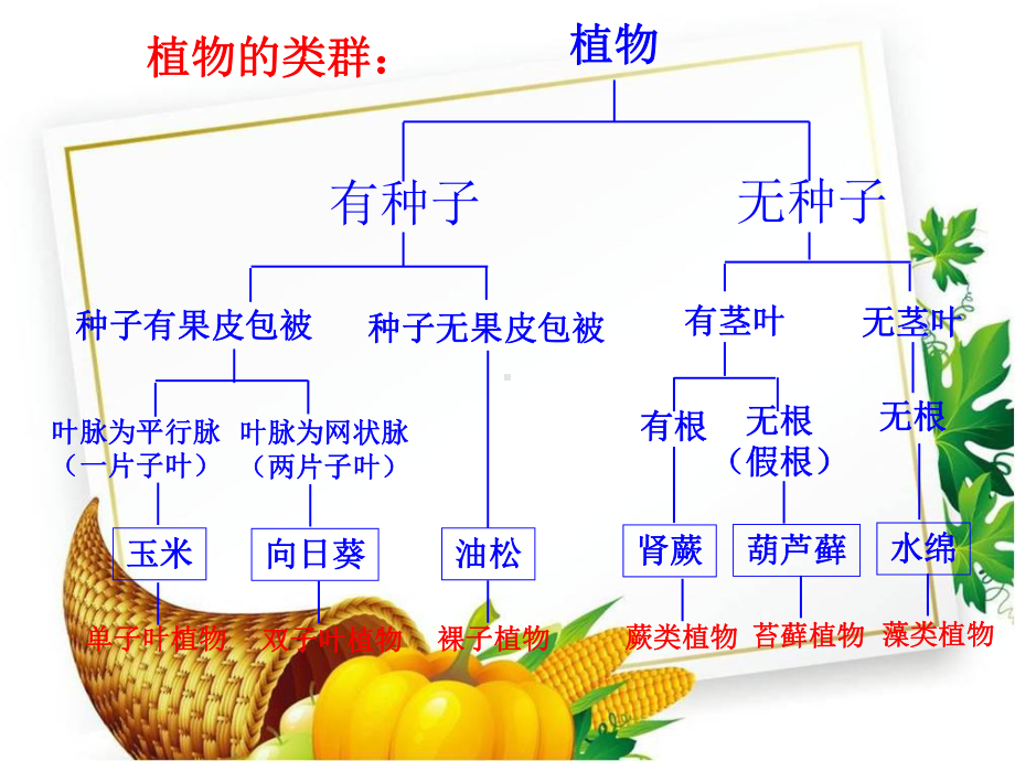 苏教版初中生物八年级上册《第5单元-第14章-丰富多彩的生物世界》课件.ppt_第2页