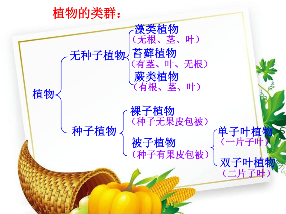 苏教版初中生物八年级上册《第5单元-第14章-丰富多彩的生物世界》课件.ppt_第3页