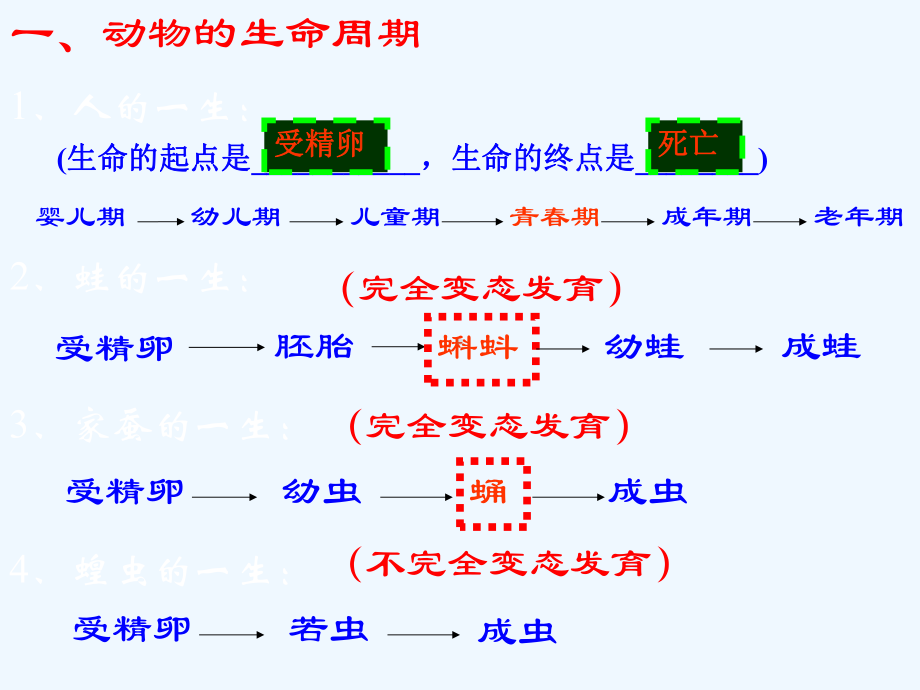 浙教版七年级下册科学第一章代代相传的生命课件.ppt_第2页