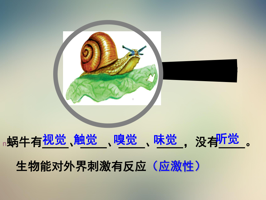 浙教版七年级科学上册复习知识点：第二章观察生物课件.ppt_第2页