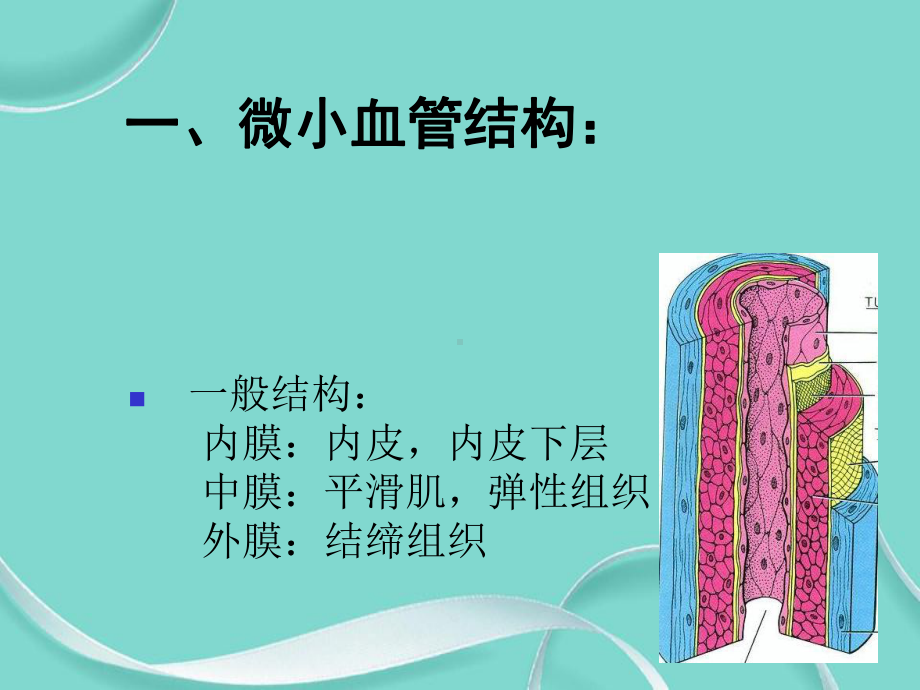 微小血管吻合技术专选课件.ppt_第3页