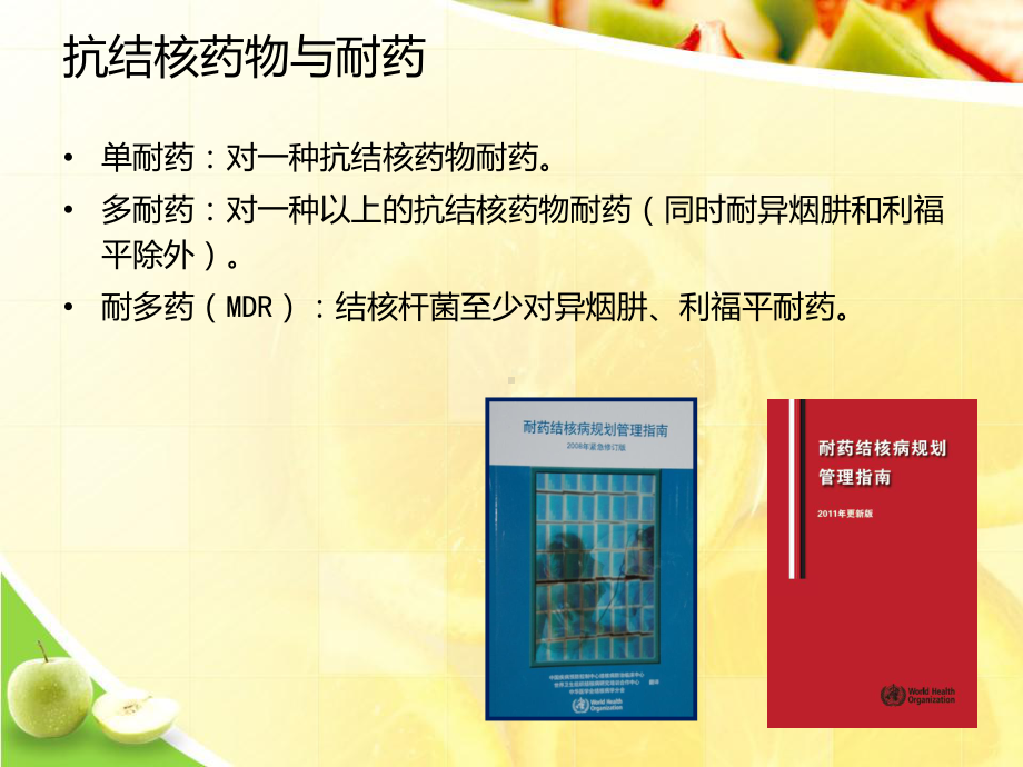 耐多药结核病临床路径优选课件.ppt_第3页