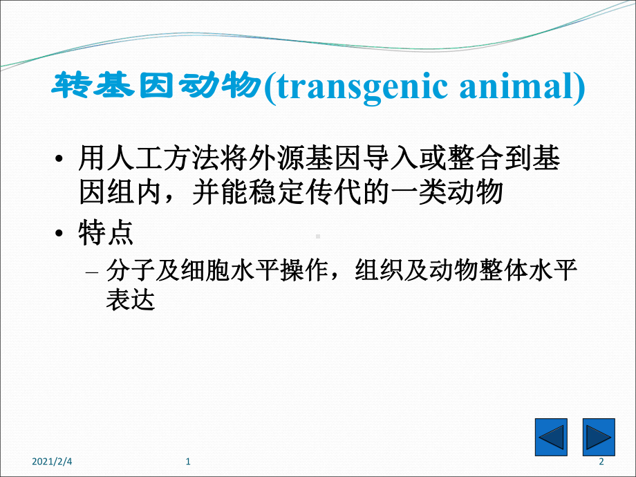 转基因生物和基因打靶课件.ppt_第2页