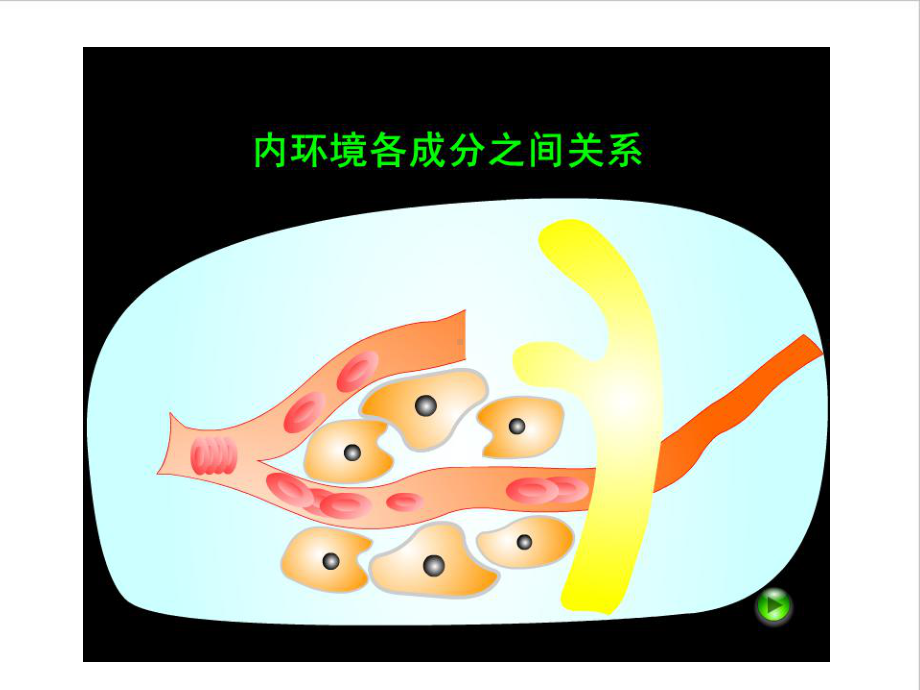 生物必修三：12《内环境稳态的重要性》课件.ppt_第1页