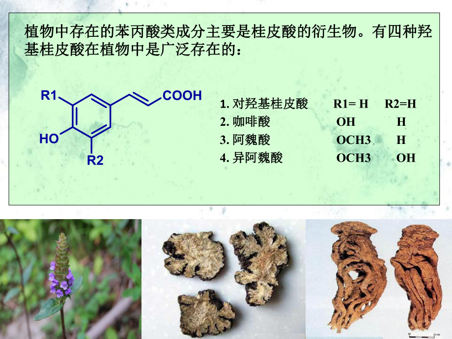 苯丙素天然药物化学课件.ppt_第2页