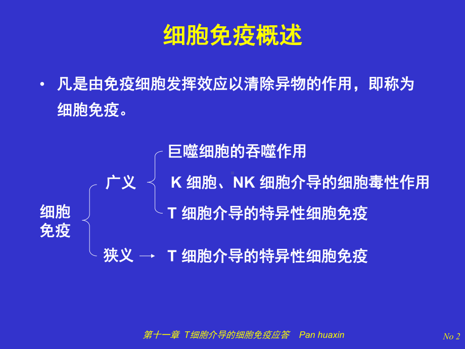 医学免疫学-第十一章T细胞应答幻灯05级课件.ppt_第2页