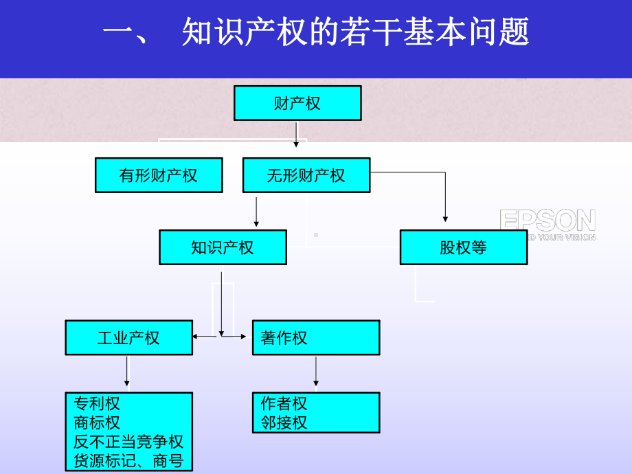 知识产权制度的基本原理及其最新发展(-45张)课件.ppt_第2页