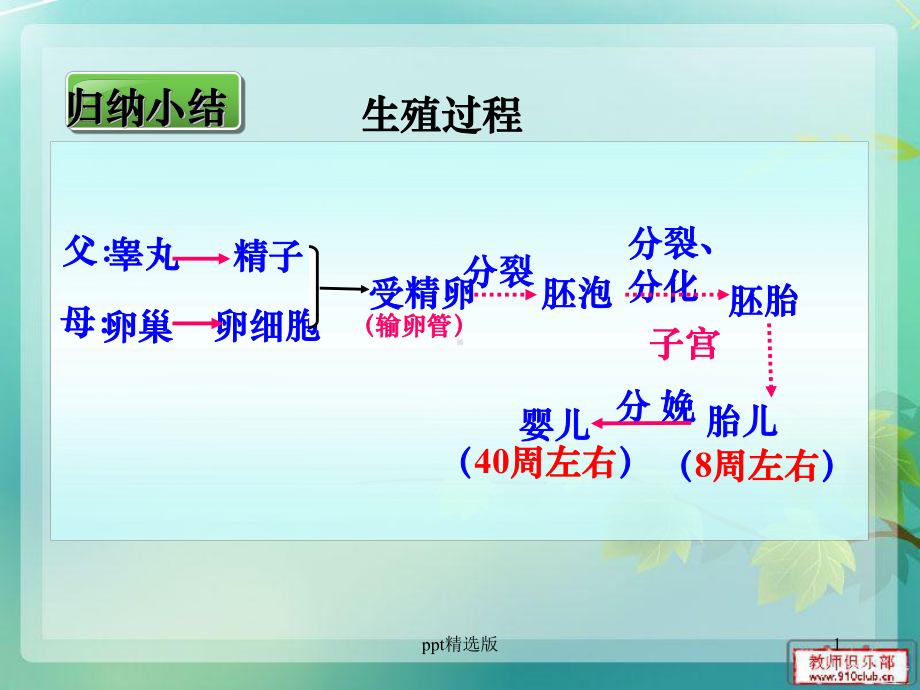 七年级下册生物-青春期(201X人教版)课件.ppt_第1页