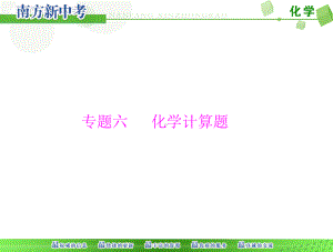 -《南方新中考》-化学-第二部分-专题六-化学计算题[配套]课件.pptx