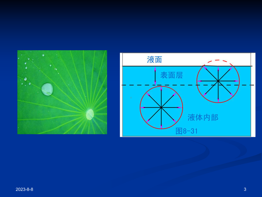 -04-表面活性剂与药用高分子课件.ppt_第3页