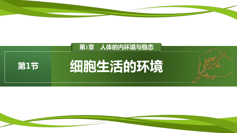 1.1细胞生活的环境ppt课件-(同名1)-2023新人教版(2019）《高中生物》选择性必修第一册.pptx_第1页