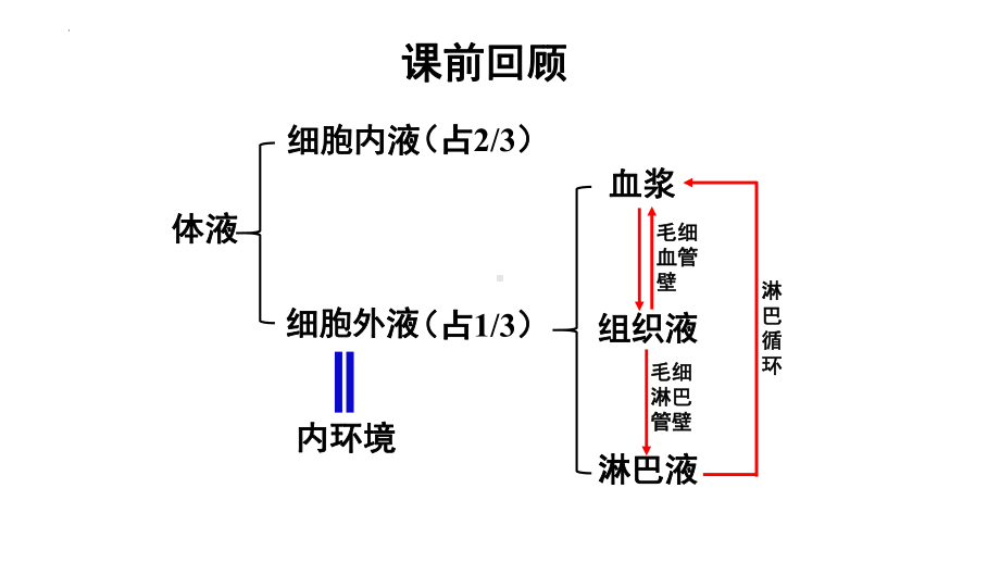 1.1 细胞生活的环境第2课时ppt课件-2023新人教版(2019）《高中生物》选择性必修第一册.pptx_第3页