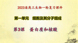 一轮复习ppt课件 1.3蛋白质和核酸-2023新人教版(2019）《高中生物》必修第一册.pptx