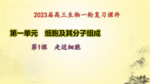 一轮复习ppt课件 1.1走近细胞-2023新人教版(2019）《高中生物》必修第一册.pptx