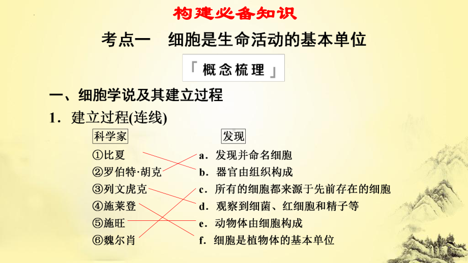 一轮复习ppt课件 1.1走近细胞-2023新人教版(2019）《高中生物》必修第一册.pptx_第3页