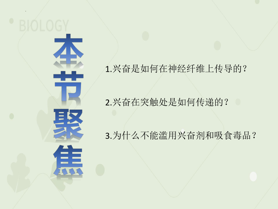 2.3神经冲动的产生和传导ppt课件-2023新人教版(2019）《高中生物》选择性必修第一册.pptx_第2页