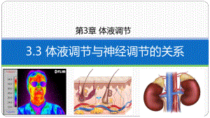 3.3体液调节与神经调节的关系 (同名第1课时）ppt课件 -2023新人教版(2019）《高中生物》选择性必修第一册.pptx