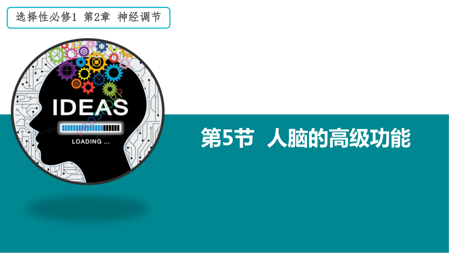 2.5 人脑的高级功能ppt课件-(同名1)-2023新人教版(2019）《高中生物》选择性必修第一册.pptx_第1页