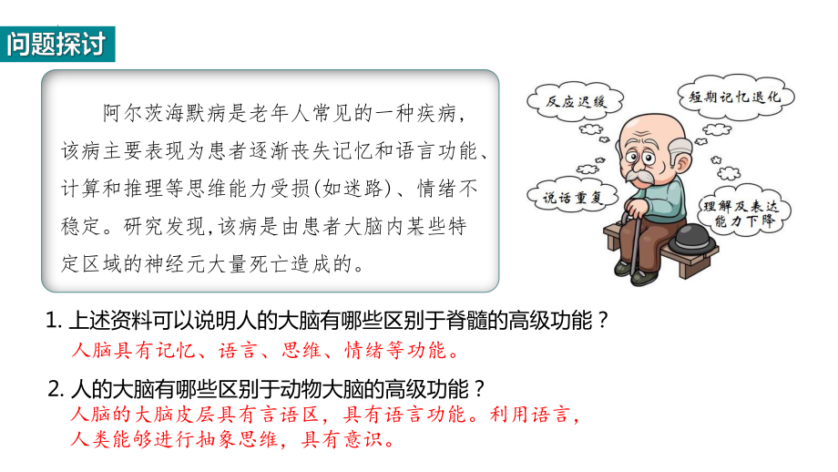 2.5 人脑的高级功能ppt课件-(同名1)-2023新人教版(2019）《高中生物》选择性必修第一册.pptx_第3页