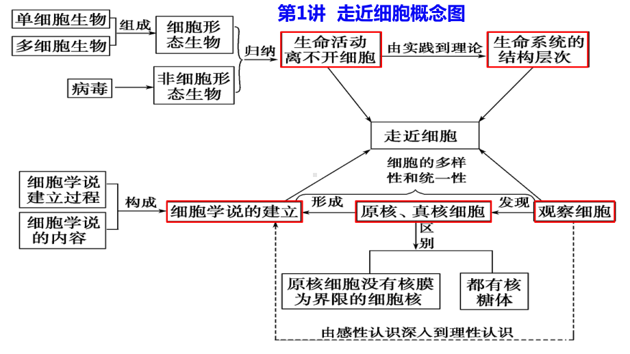 一轮复习ppt课件： 第1讲 走近细胞-2023新人教版(2019）《高中生物》必修第一册.pptx_第2页