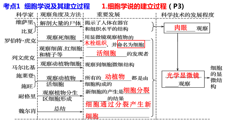 一轮复习ppt课件： 第1讲 走近细胞-2023新人教版(2019）《高中生物》必修第一册.pptx_第3页