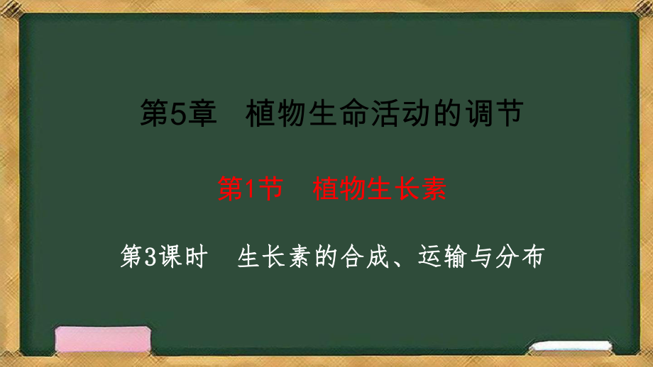 5.1植物生长素第3课时 生长素的合成、运输与分布ppt课件-2023新人教版(2019）《高中生物》选择性必修第一册.pptx_第2页