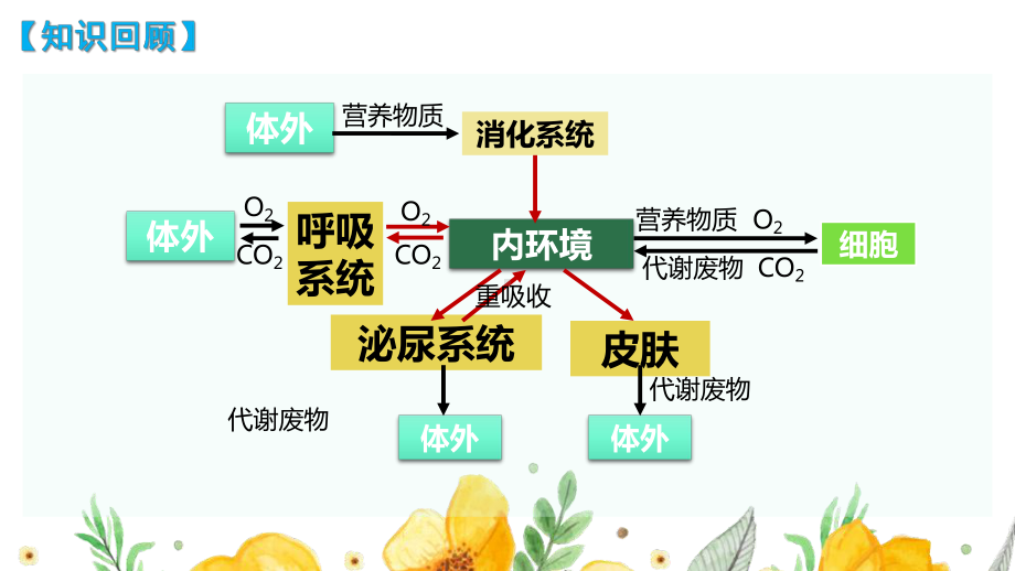 1.2内环境的稳态ppt课件(同名2)-2023新人教版(2019）《高中生物》选择性必修第一册.pptx_第2页