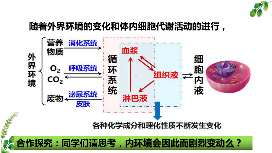 1.2内环境的稳态ppt课件(同名2)-2023新人教版(2019）《高中生物》选择性必修第一册.pptx_第3页