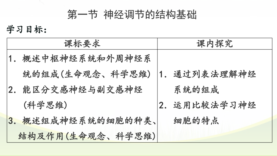 2.1神经调节的结构基础ppt课件-2023新人教版(2019）《高中生物》选择性必修第一册.pptx_第2页