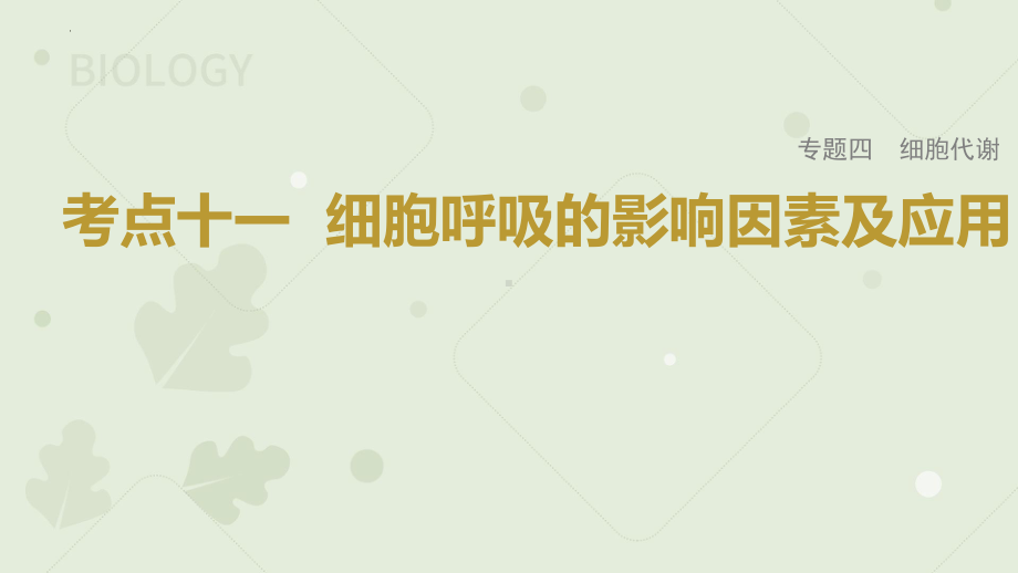 一轮专题复习ppt课件：细胞呼吸的影响因素及应用 -2023新人教版(2019）《高中生物》必修第一册.pptx_第1页