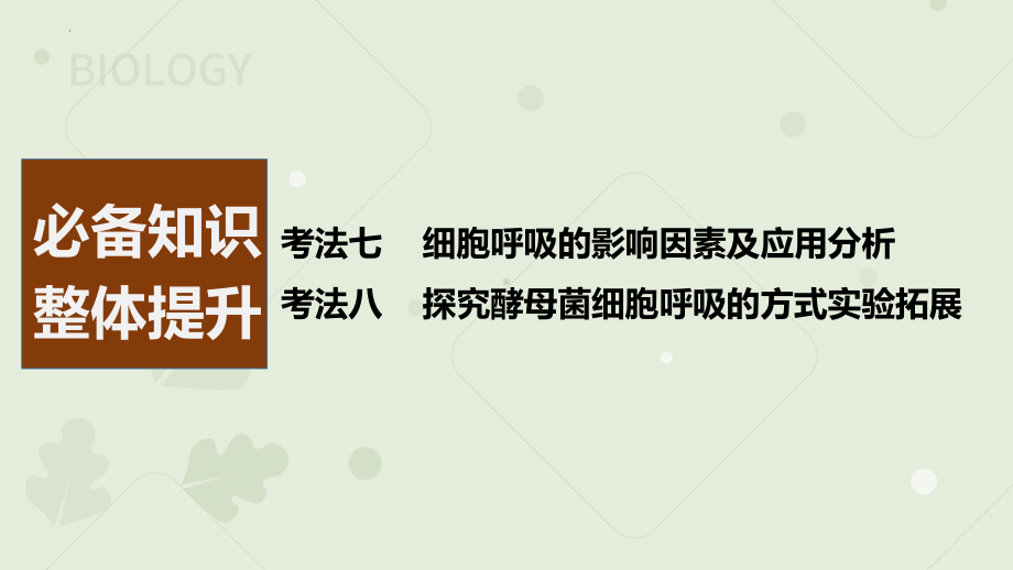 一轮专题复习ppt课件：细胞呼吸的影响因素及应用 -2023新人教版(2019）《高中生物》必修第一册.pptx_第2页