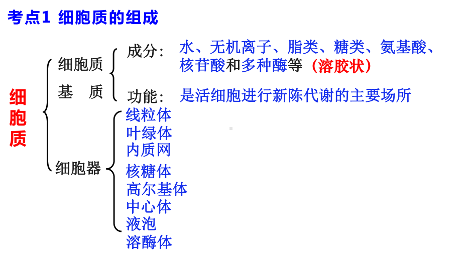 一轮复习ppt课件：第5讲 细胞器-2023新人教版(2019）《高中生物》必修第一册.pptx_第3页