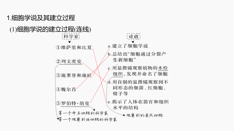 一轮复习ppt课件： 借助显微镜走近细胞-2023新人教版(2019）《高中生物》必修第一册.pptx_第2页