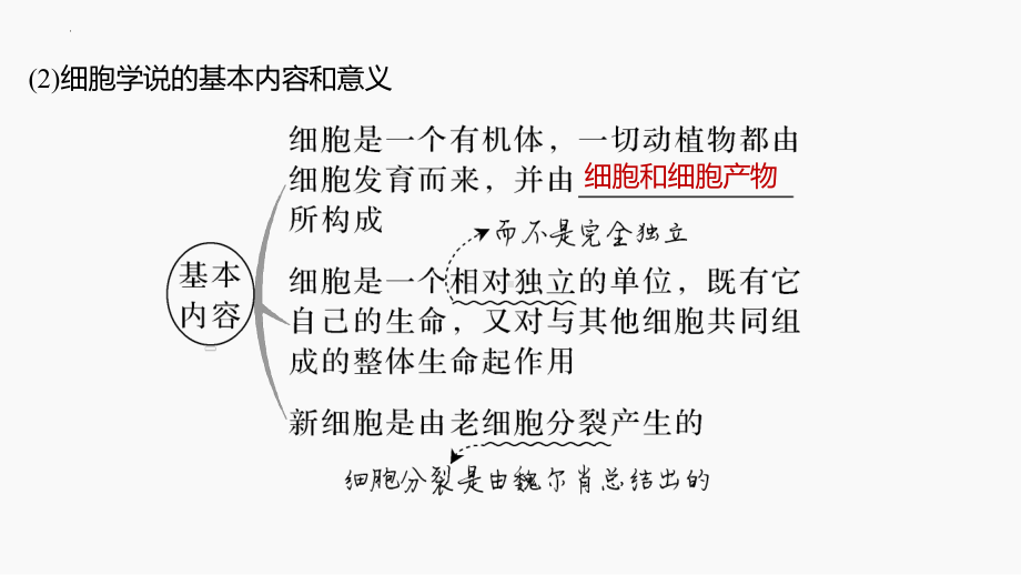 一轮复习ppt课件： 借助显微镜走近细胞-2023新人教版(2019）《高中生物》必修第一册.pptx_第3页