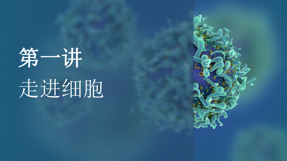 一轮复习生物：第一章走近细胞复习ppt课件-2023新人教版(2019）《高中生物》必修第一册.pptx_第2页