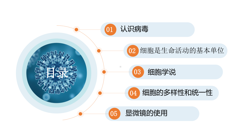 一轮复习生物：第一章走近细胞复习ppt课件-2023新人教版(2019）《高中生物》必修第一册.pptx_第3页