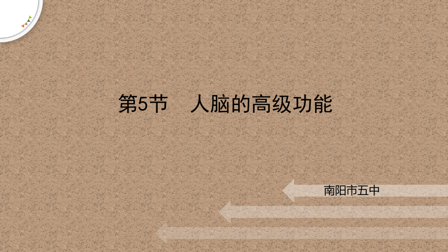 2.5人脑的高级功能ppt课件(同名2)-2023新人教版(2019）《高中生物》选择性必修第一册.pptx_第1页