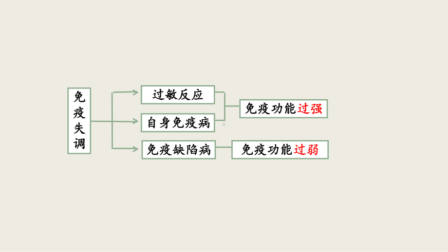 4.3 免疫失调ppt课件(同名7)-2023新人教版(2019）《高中生物》选择性必修第一册.pptx_第2页