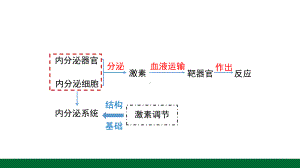 3.1激素与内分泌系统(同名第2课时) ppt课件 -2023新人教版(2019）《高中生物》选择性必修第一册.pptx