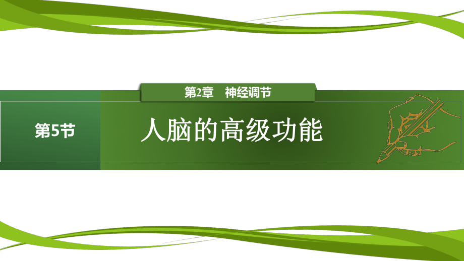 2.5 人脑的高级功能ppt课件--2023新人教版(2019）《高中生物》选择性必修第一册.pptx_第1页