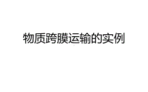 一轮复习 物质跨膜运输的实例ppt课件-2023新人教版(2019）《高中生物》必修第一册.pptx