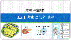 3.2激素调节的过程(同名第2课时）ppt课件 -2023新人教版(2019）《高中生物》选择性必修第一册.pptx